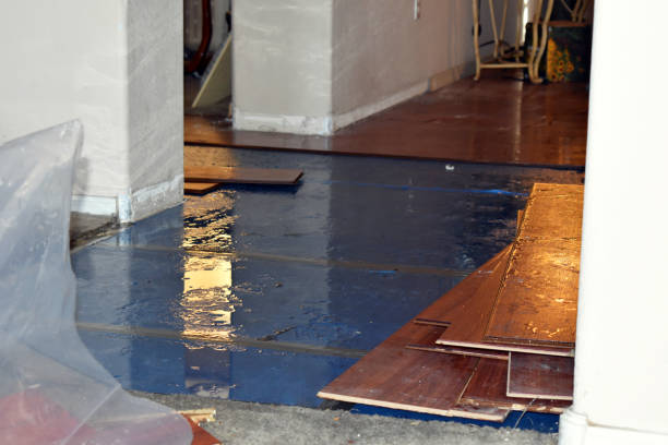 Professional Basement Flood Cleanup technician working in Ira, IA